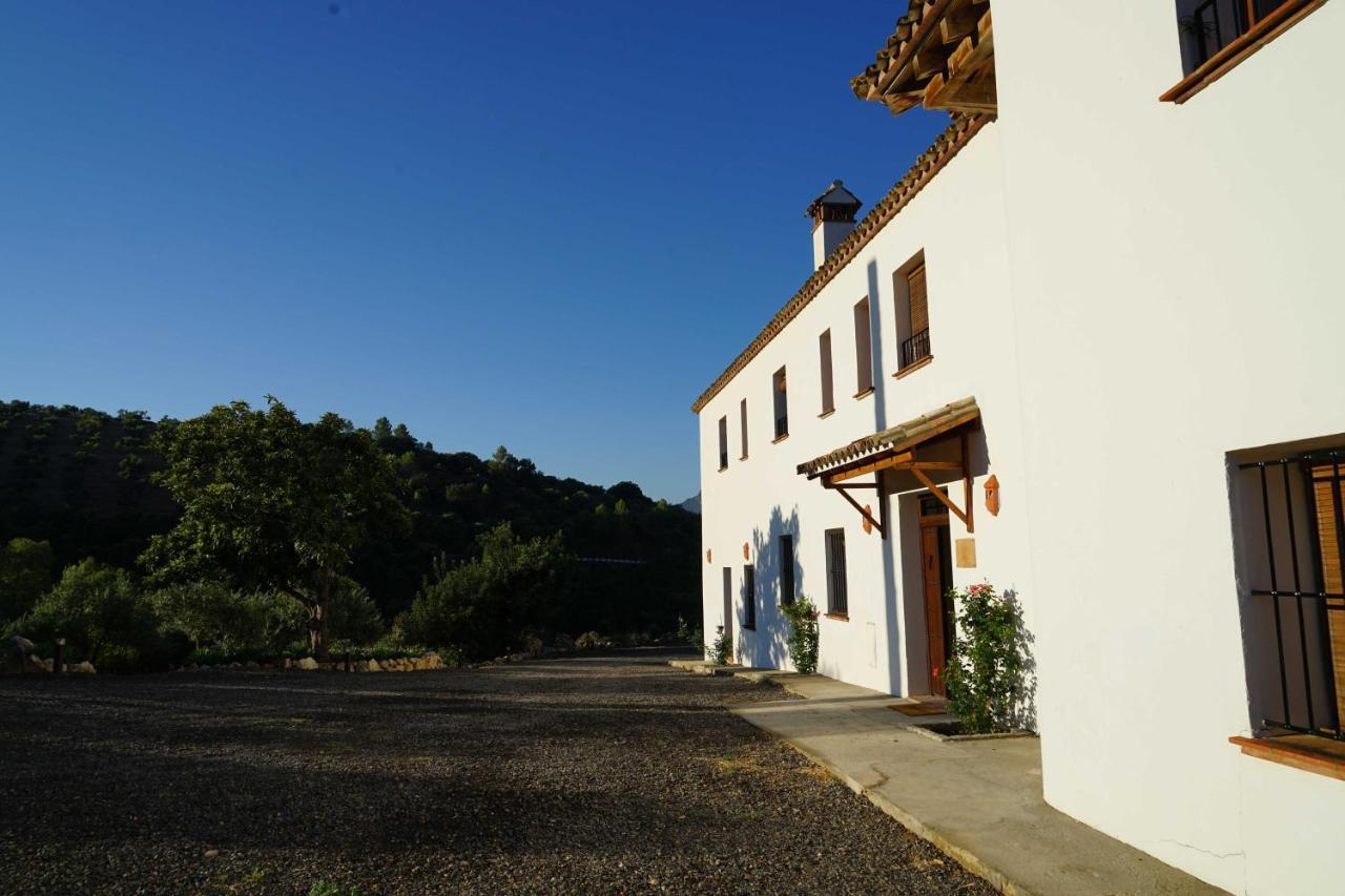 Hacienda Molino Nuevo Βίλα Algodonales Εξωτερικό φωτογραφία